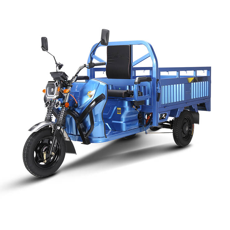 Hydrogen fuel cell tri-wheelers